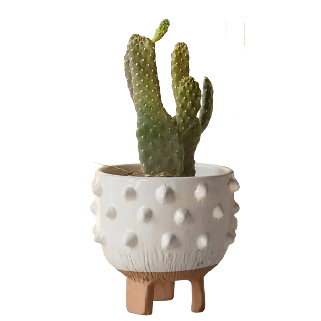 Monster Pot – Sculptural Pottery Planter