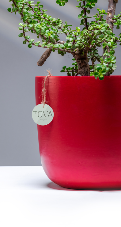 Devine Red Pot 1