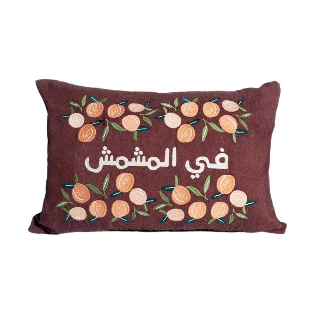 وسادة في المشمش – لمسة فكاهة مصرية image