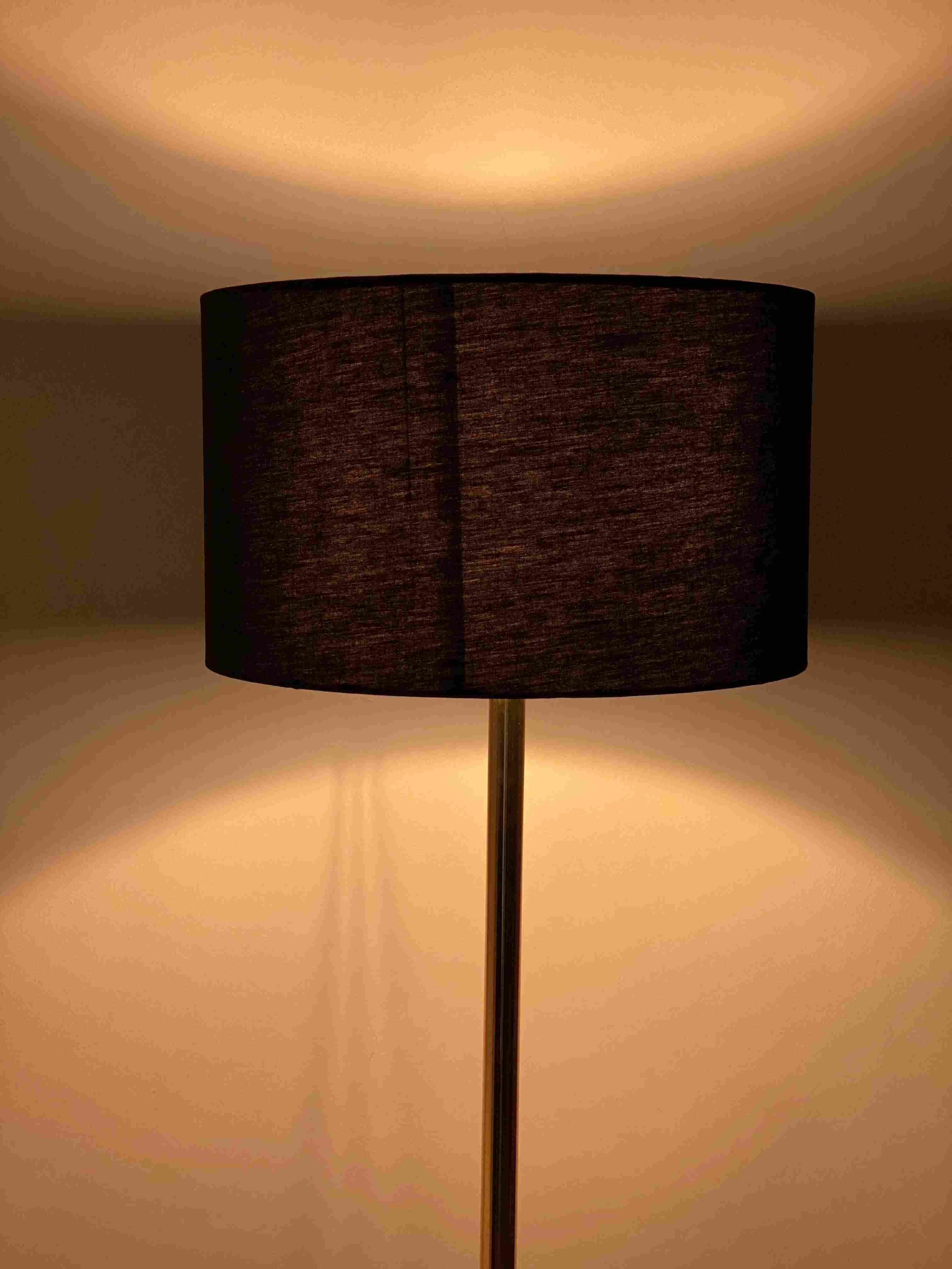 Minimalist Black & Gold Floor Lamp RFL-43  Fl_Mo_243 3