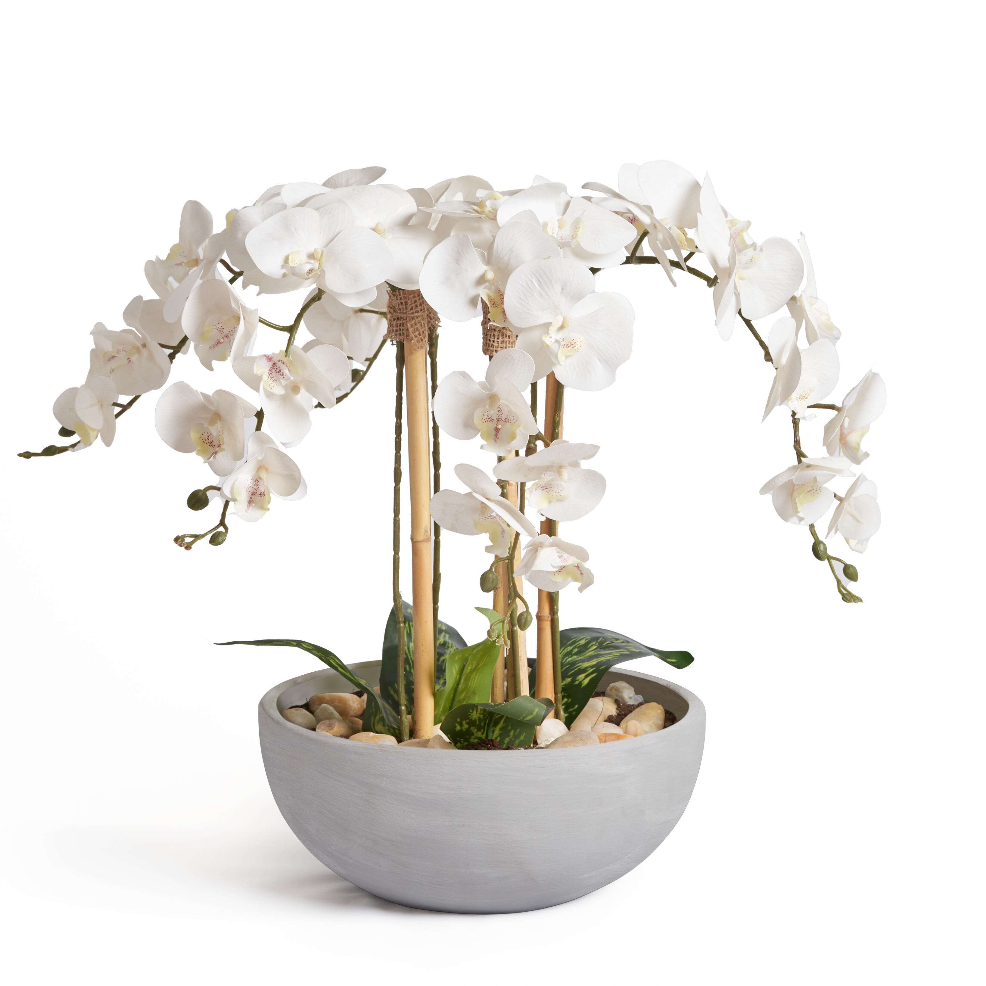 Decorative Orchids with Grey pot 0