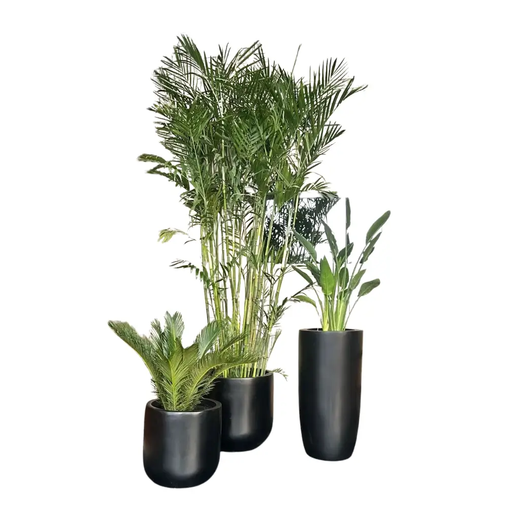 Trioest Fiberglass Pots With Plants 0