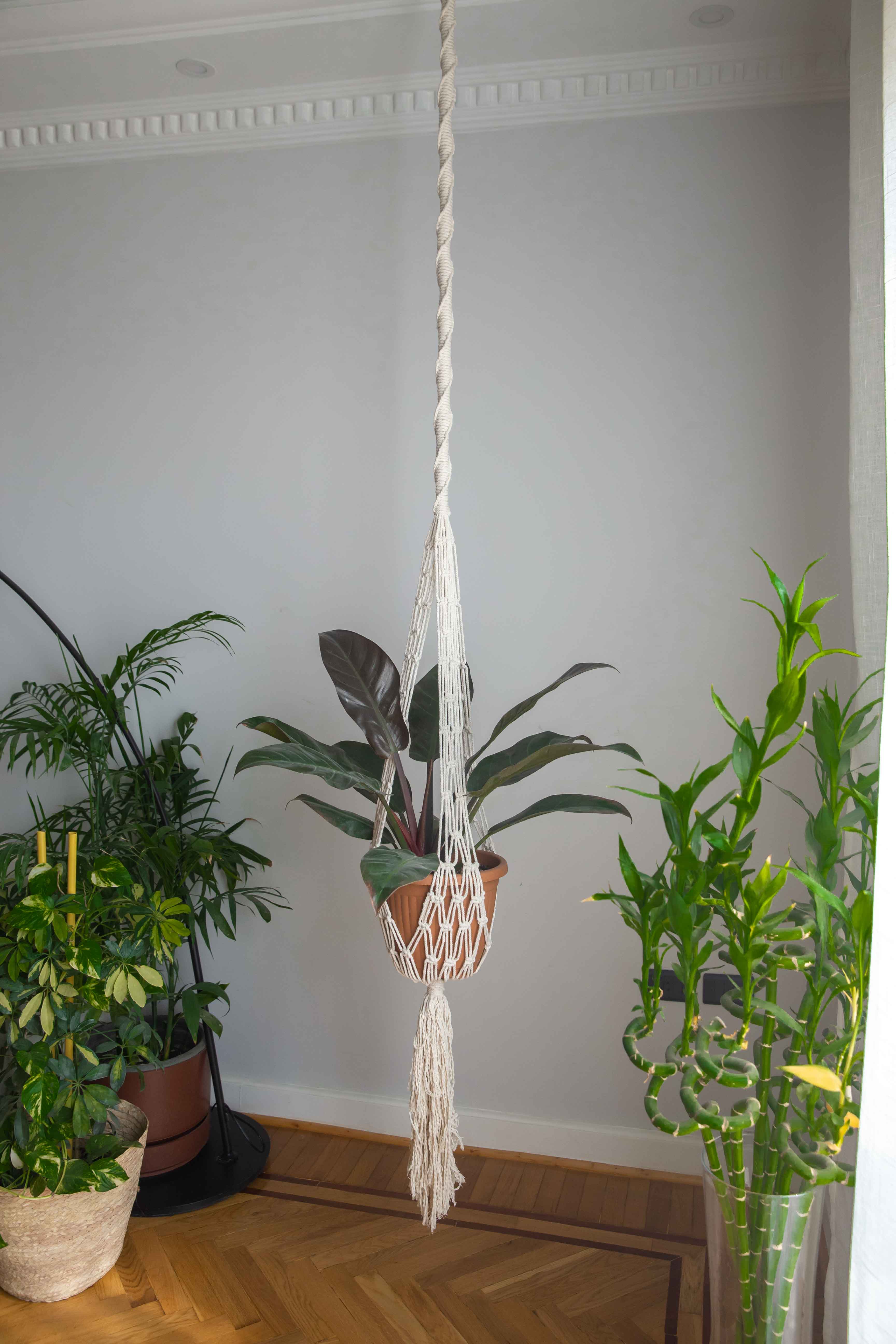 Long Half Spiral Hanging Planter 0