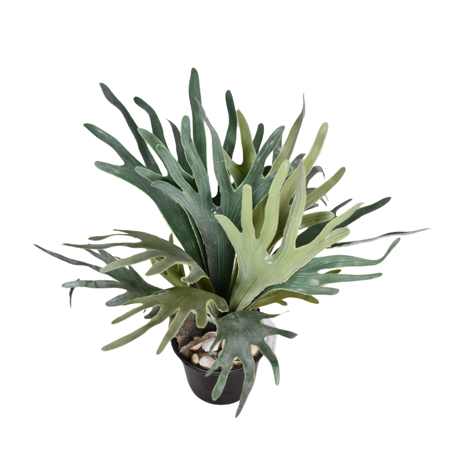 2STnR3HrTNgv83TeDSpBweGznsMhbOADmVxSDlHR.png