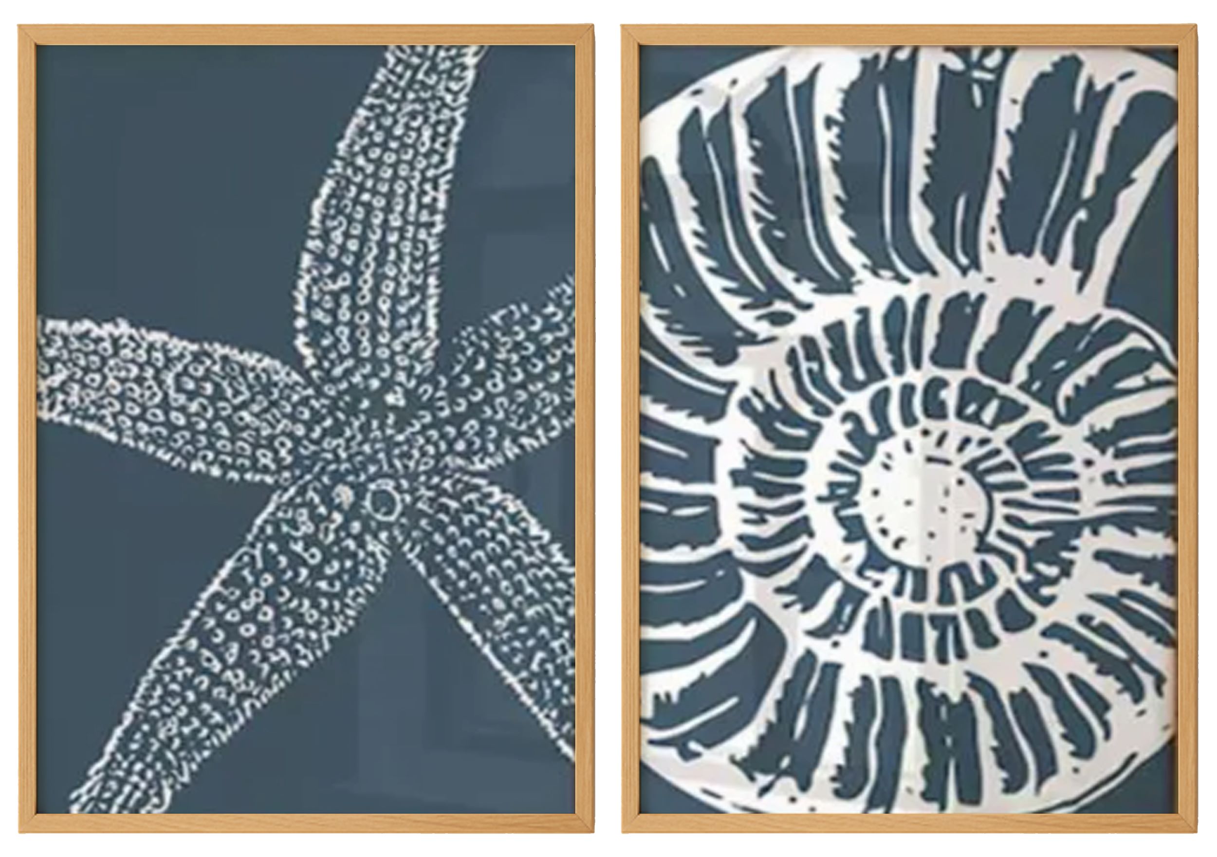 Shell and Starfish Prints Set 0