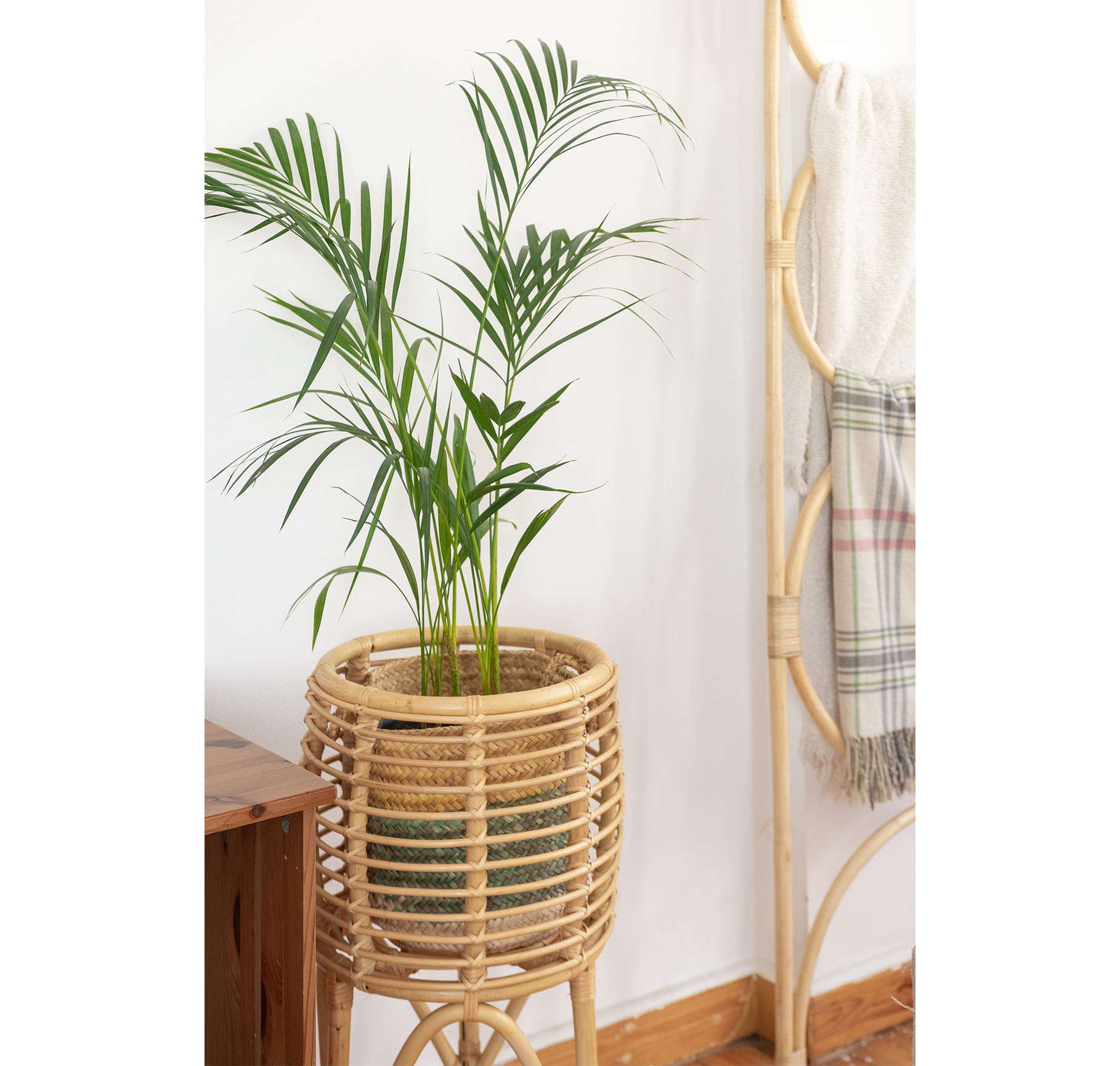 Curvo bamboo planter stand 4