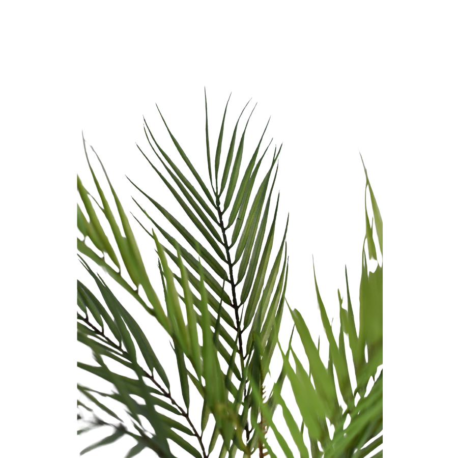 3293SU4HBIqvJ6yEjErAYdjCQDCOPat4ywdJBHut.png