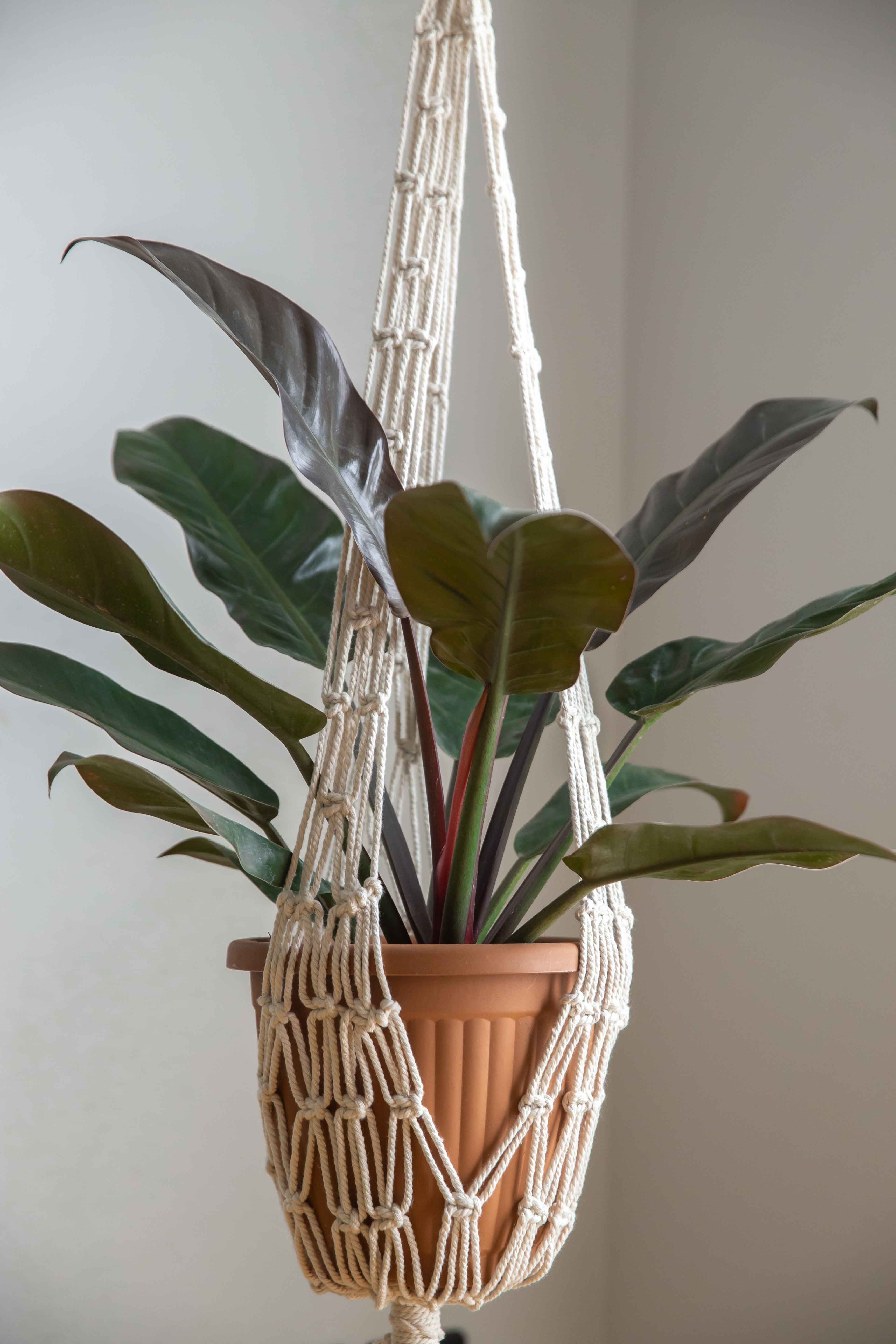 Long Half Spiral Hanging Planter 2