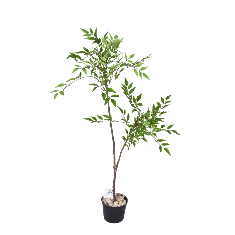 4p7fH3eSzMGdpyydKQUjmmrg5JubToFB4OMT0UQ7.png
