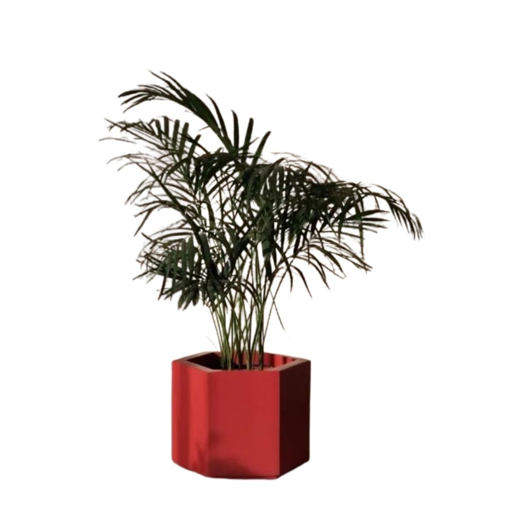 Fiber Hex Plant Pot Red 0