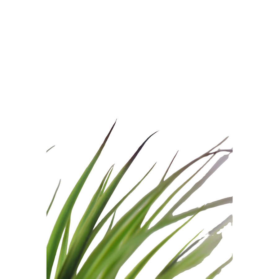 5Gu79UYDqSXDsE44gwKJHqctnJGFt4Wcb2CwbeCm.png