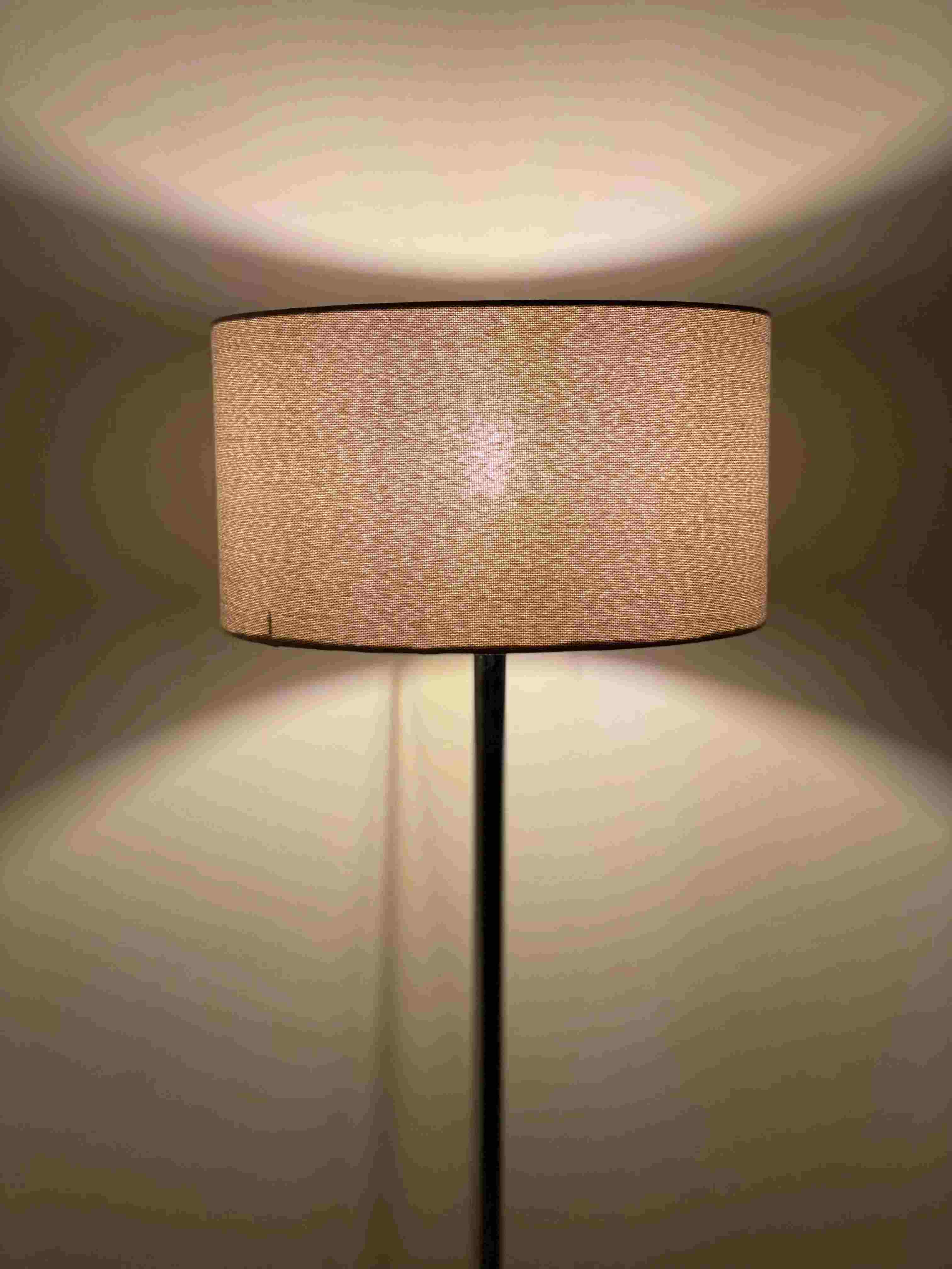 Lumiere Floor Lamp RFL 226   Fl_Mo_254 2