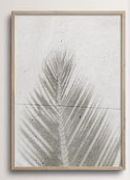 Leaf Shadow Print 0