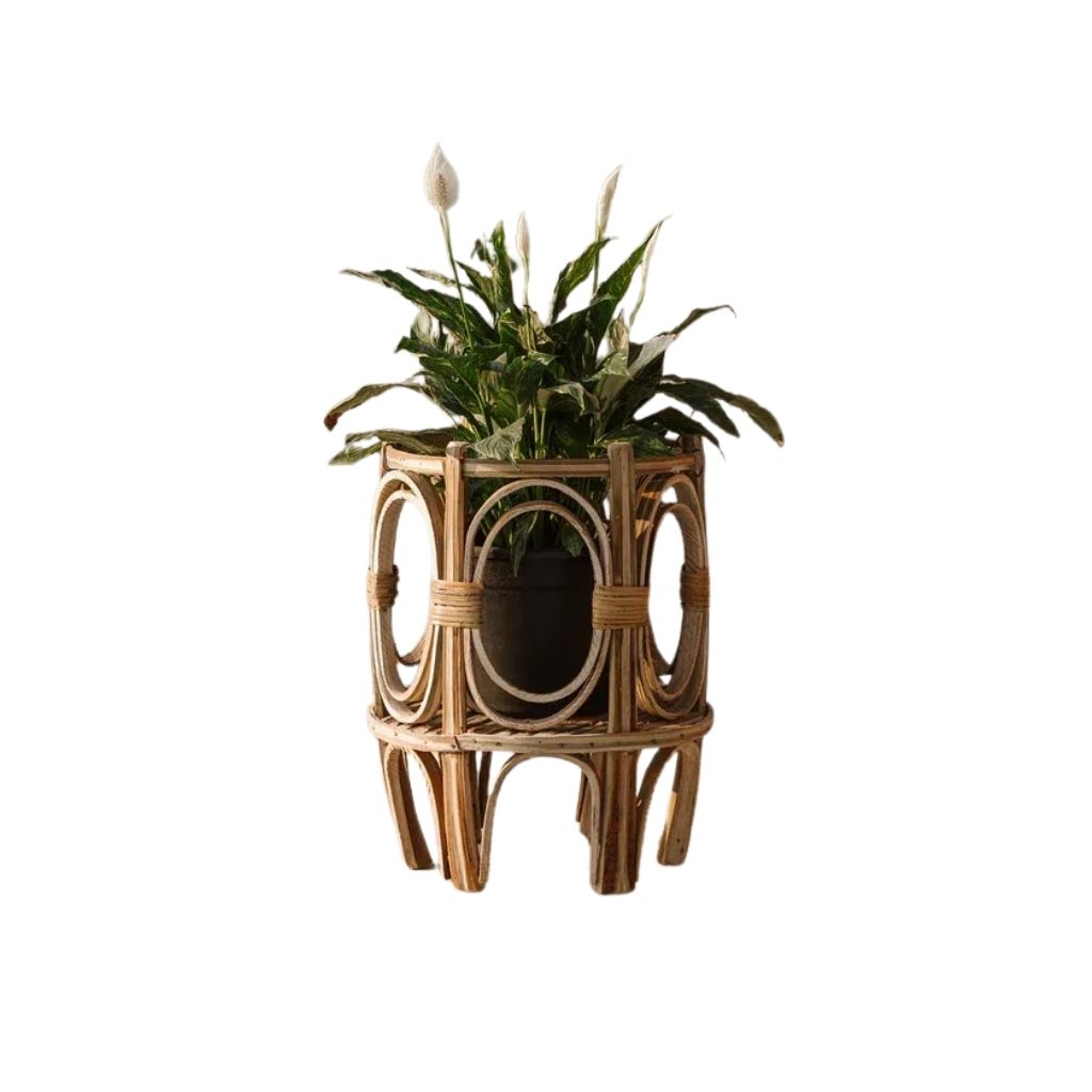 Hayah Planter image