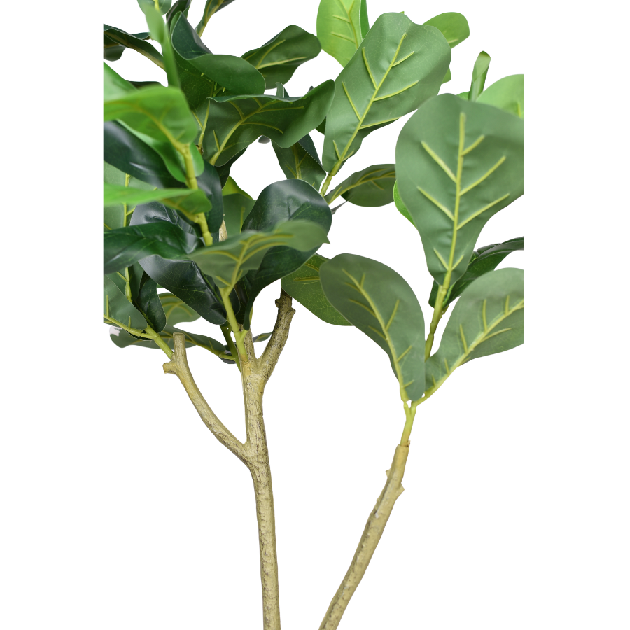 6K6DvppVg6dylNSJiwjH7GR8Uc4y9BqMd1KPCIur.png