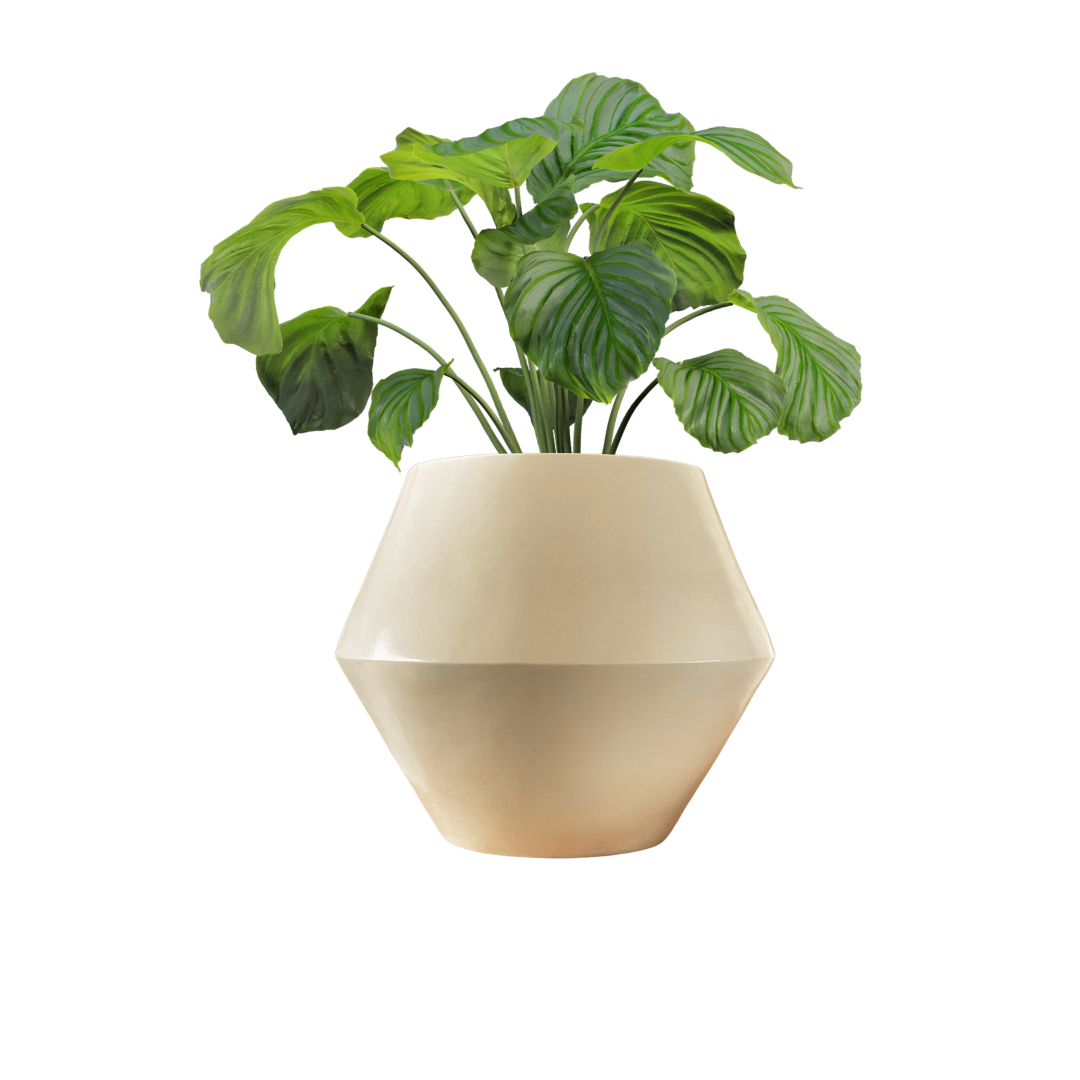 Edge Fiberglass Pot 1