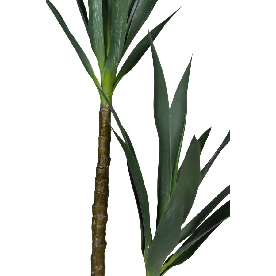 7Y3xhc6GLxq5iWPVATNVixkhj5qNiv12Ea6H9c37.png