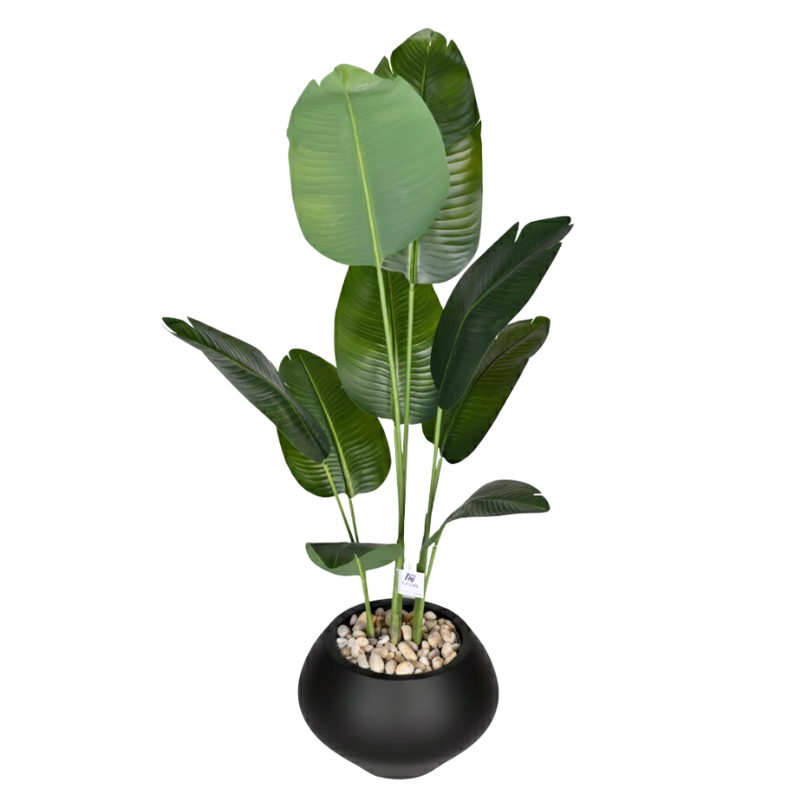7nQBsEqUWDT8kOlXIwMoBcTY4NzbXAde5S6lz80I.png