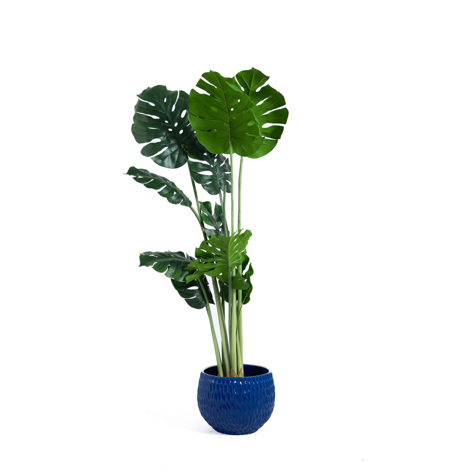 Artificial Fijka Plant 1
