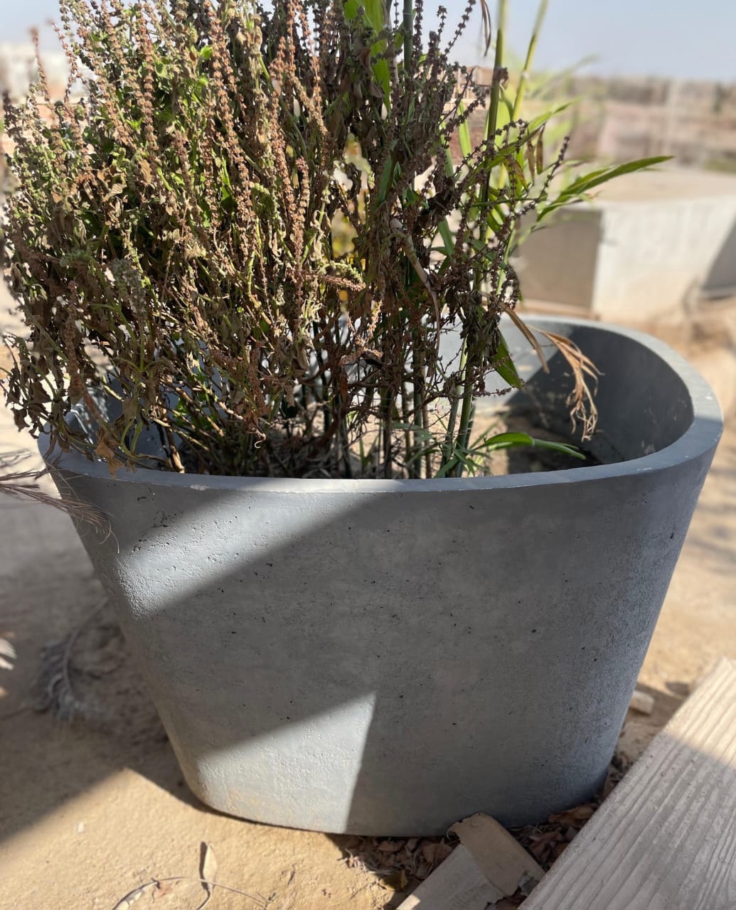 Big Concrete Plant Pot 1