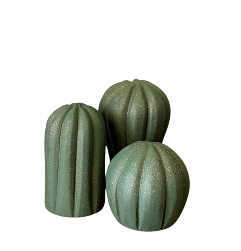 Mini Kaktus Trio Pottery Set 0