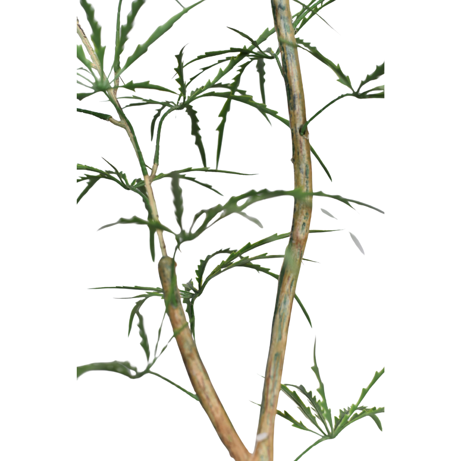 897eA703SpDyPt0gkiwFGc4RA7fbFqxYq9cfmpY8.png
