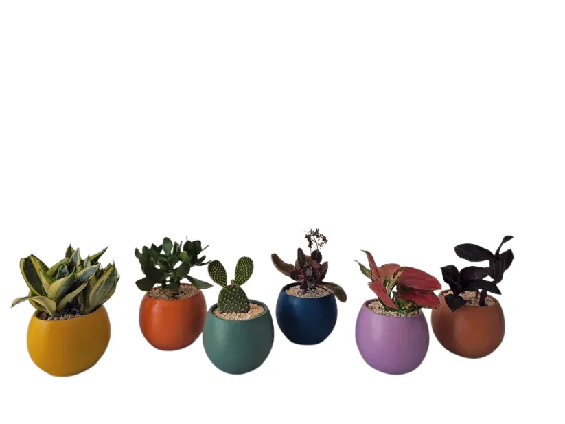 Mini Pot image