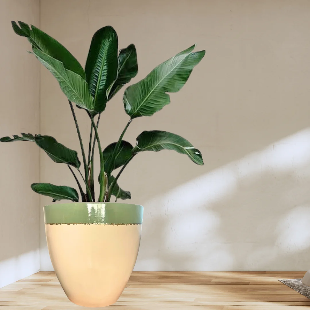 Gold olive Fiberglass Pot 0