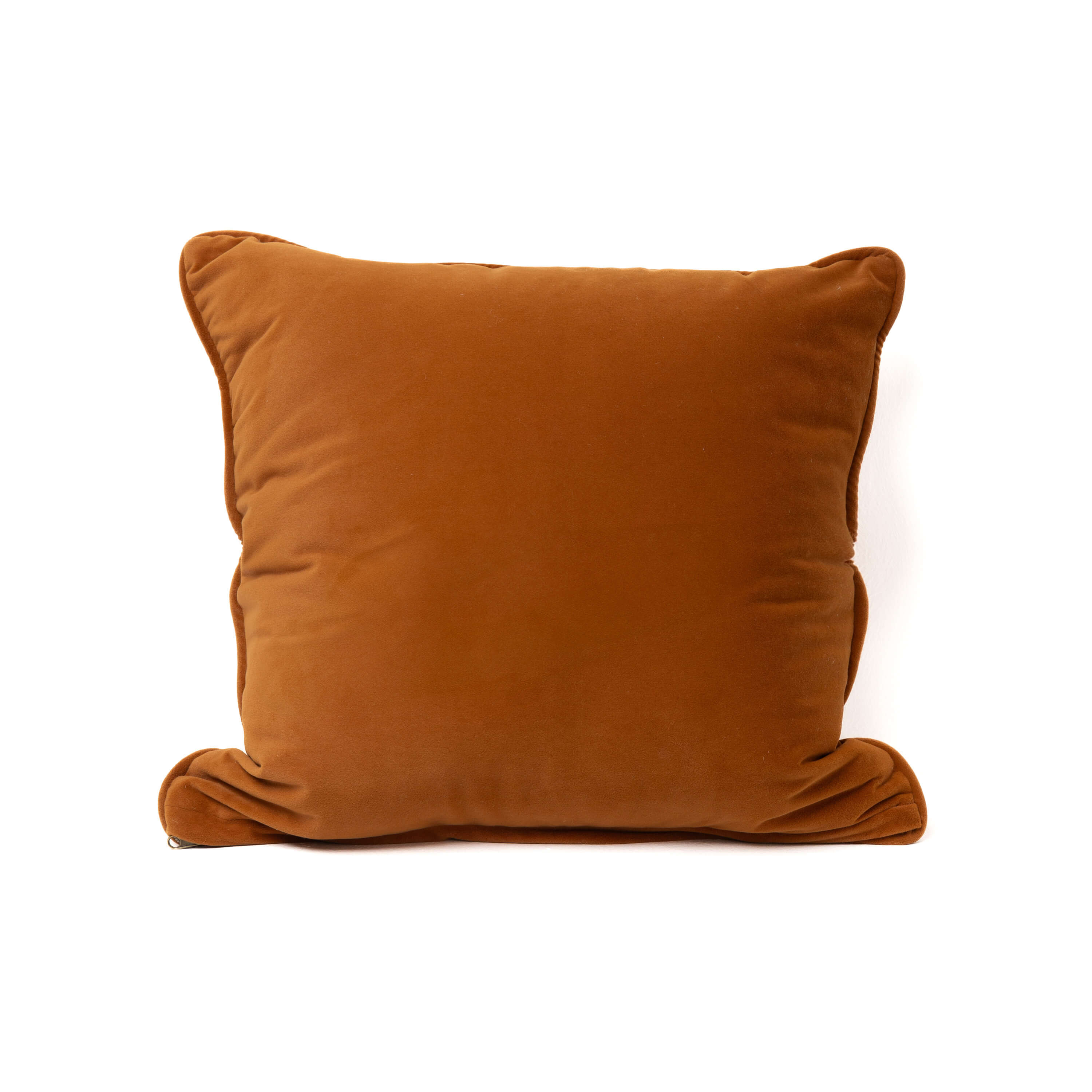 Brick Blush Velvet Cushion (NS Tesla-19) image