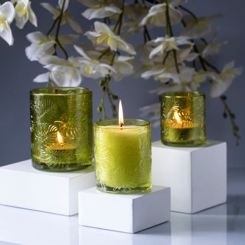 Eucalyptus & Lavender Scented Candle Cup Green 1