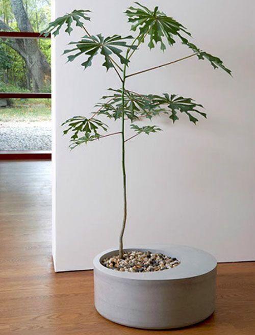Cala Planter 3