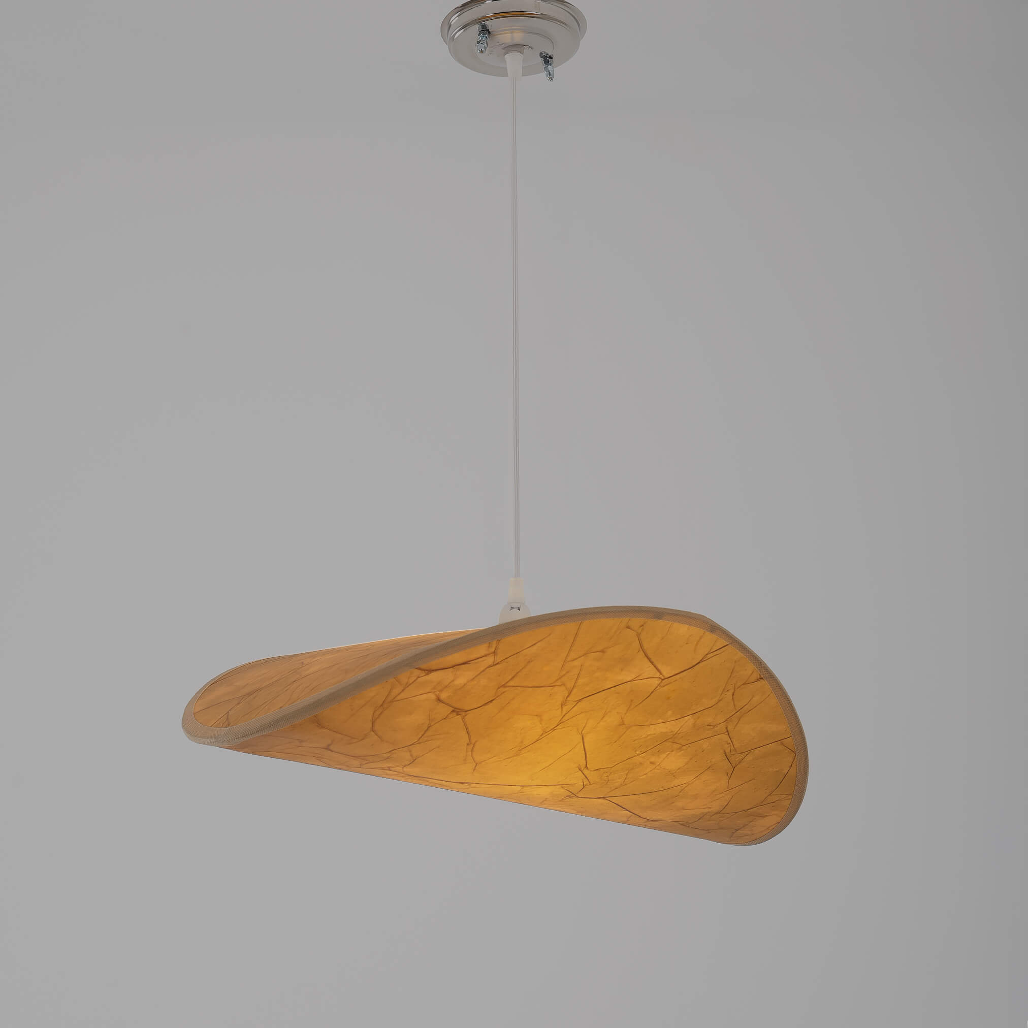 Trunks Ceiling Light ce_mo_11 2
