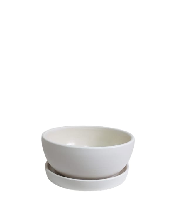 Beige Decorative Plant Pot with Plate - 25 cm 0