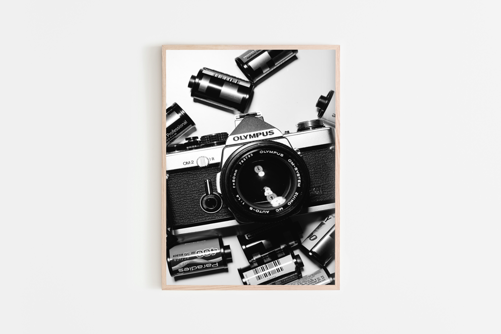 Film Camera Print 1