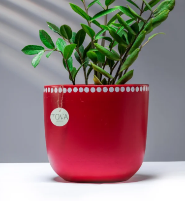 Devine Red Pot 0