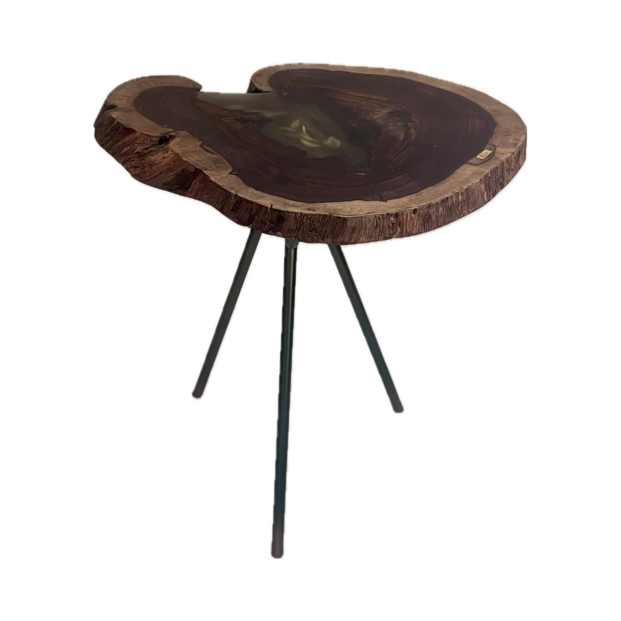 Tree Log Side Table – Resin & Natural Leaves 3