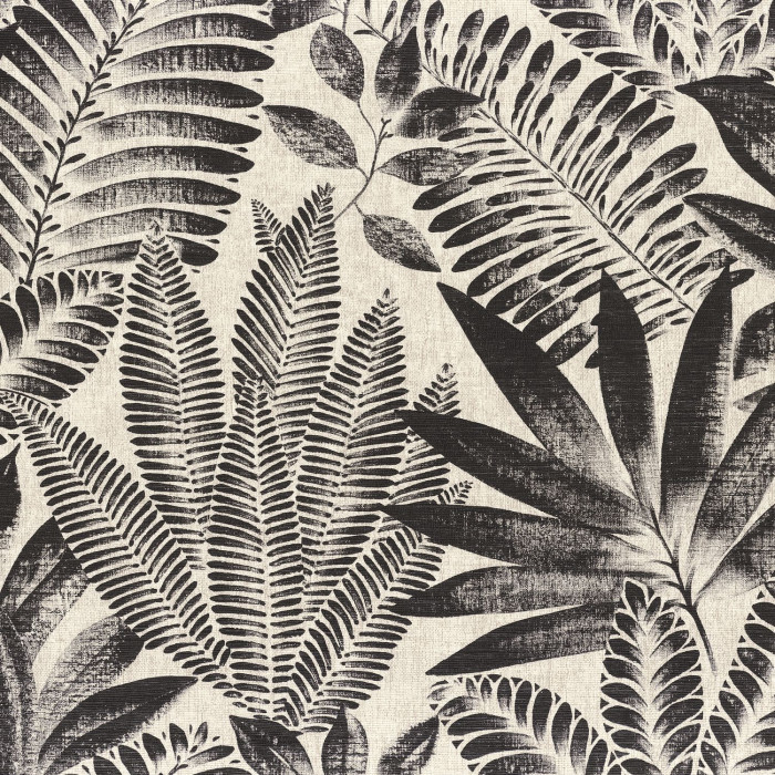 Aloes Wallpaper 0