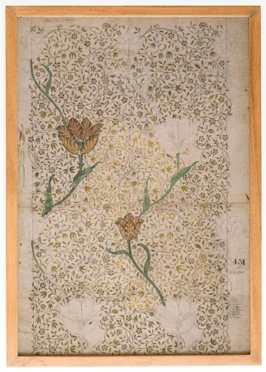 Floral Garden Tulip 0