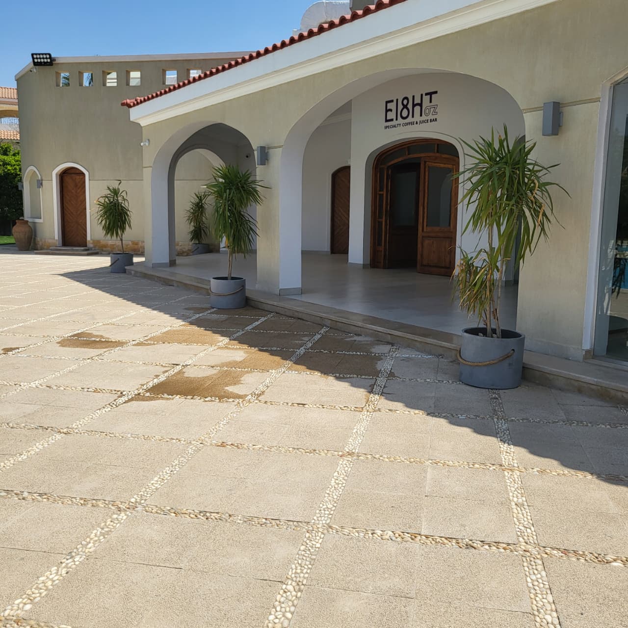 The Big Round Plant Pot 1