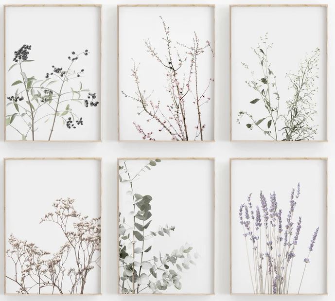 Blossom Set of 6 Artworks 0