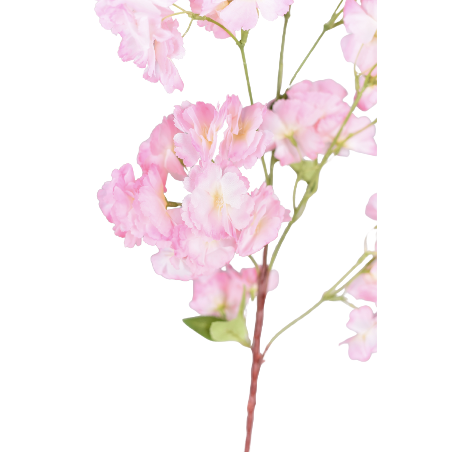 DPe5oINtVNiafqvDotjN8uFRBnMSOoXVEu42whZ3.png