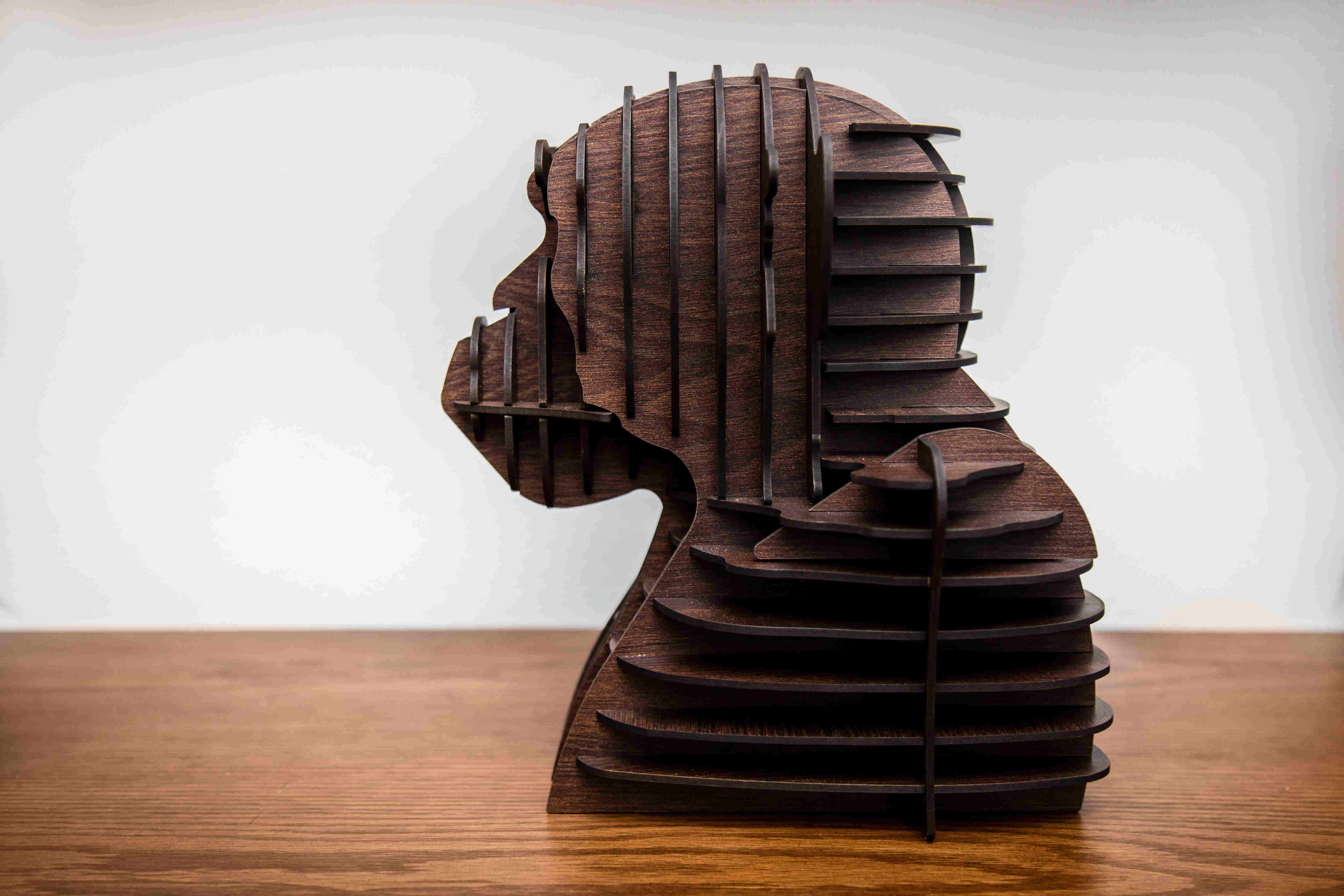 Alpha Chimpanzee Head 10