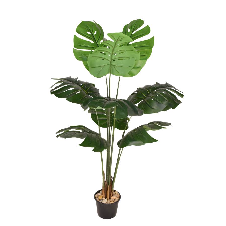 DzFFFFf8puTDU7bi3CXDdjxB7NCDndikR8yWVhEU.png