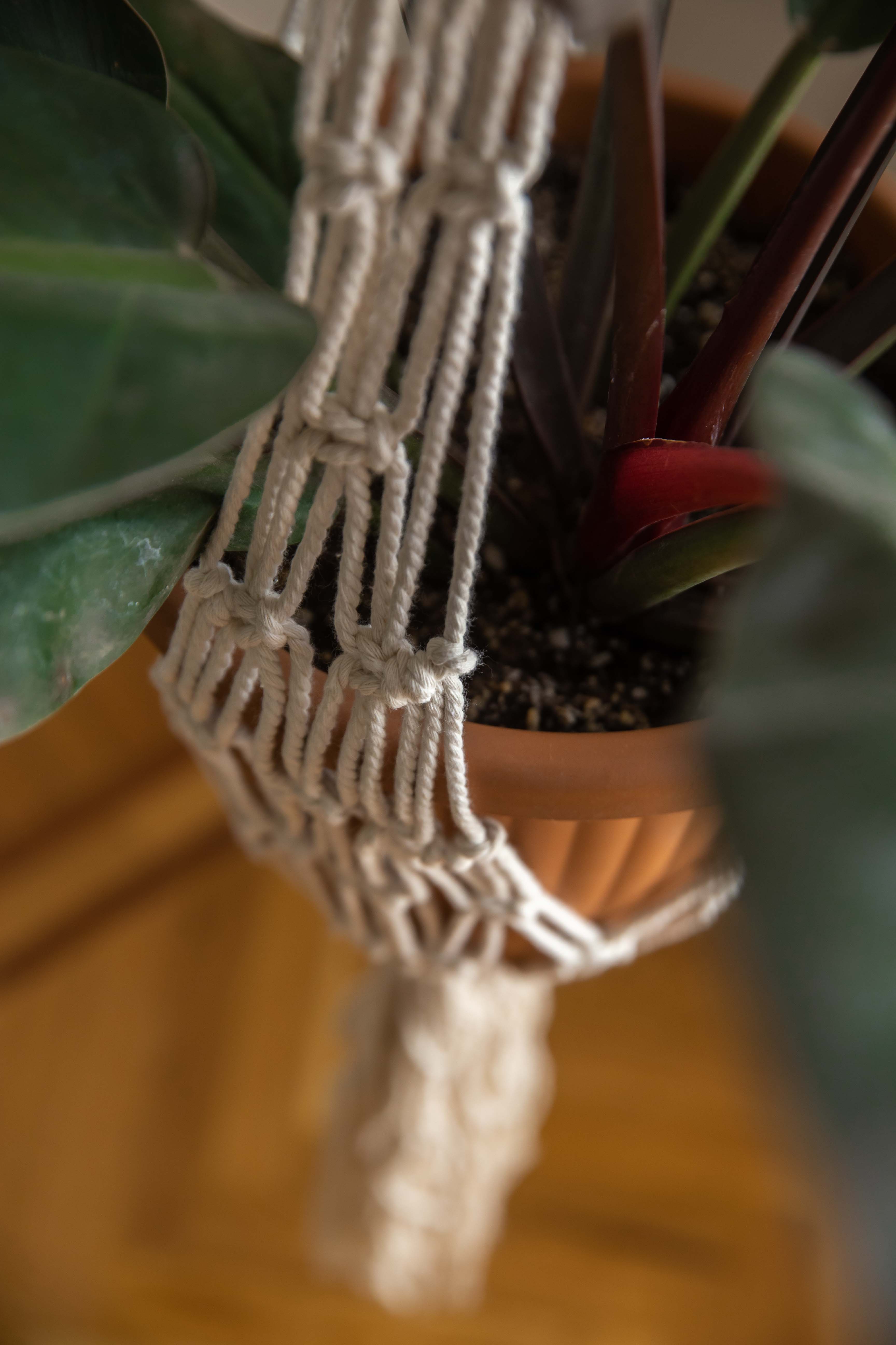 Long Half Spiral Hanging Planter 4