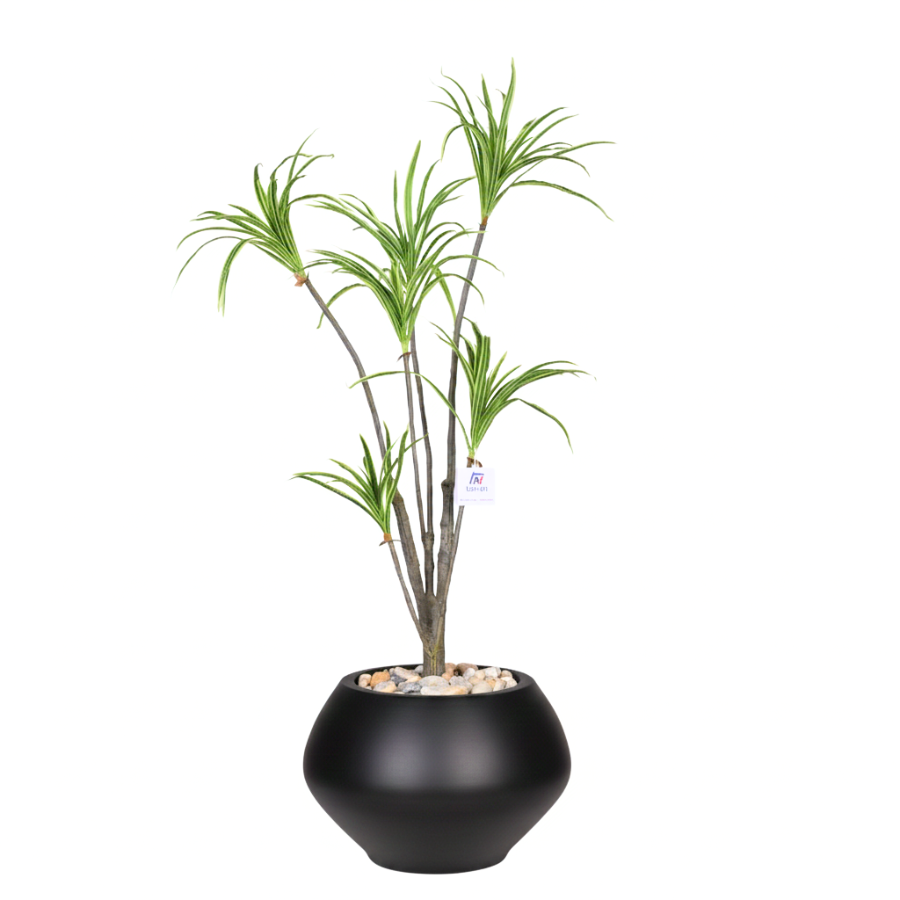 Artificial Dracaena Riki Tree with Kora Pot