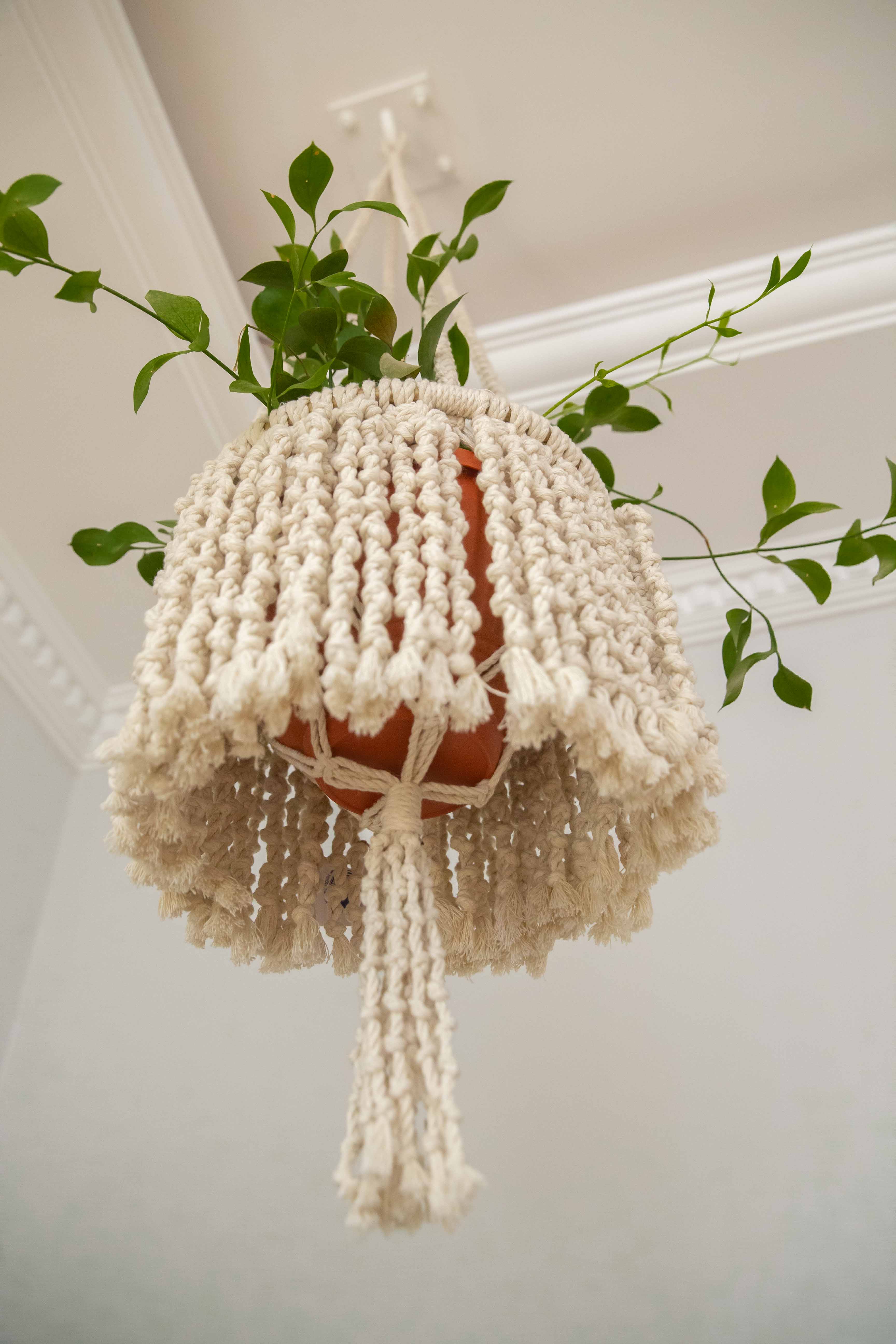 Circle Hanging Planter 2