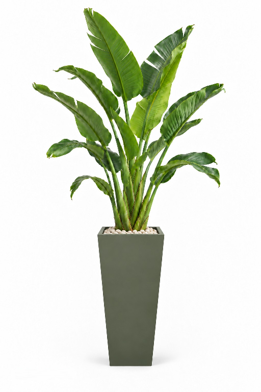 Eb869VX4Q9nfhXpHPHIUsCCJpuinZ4wDpFg5SHbf.png