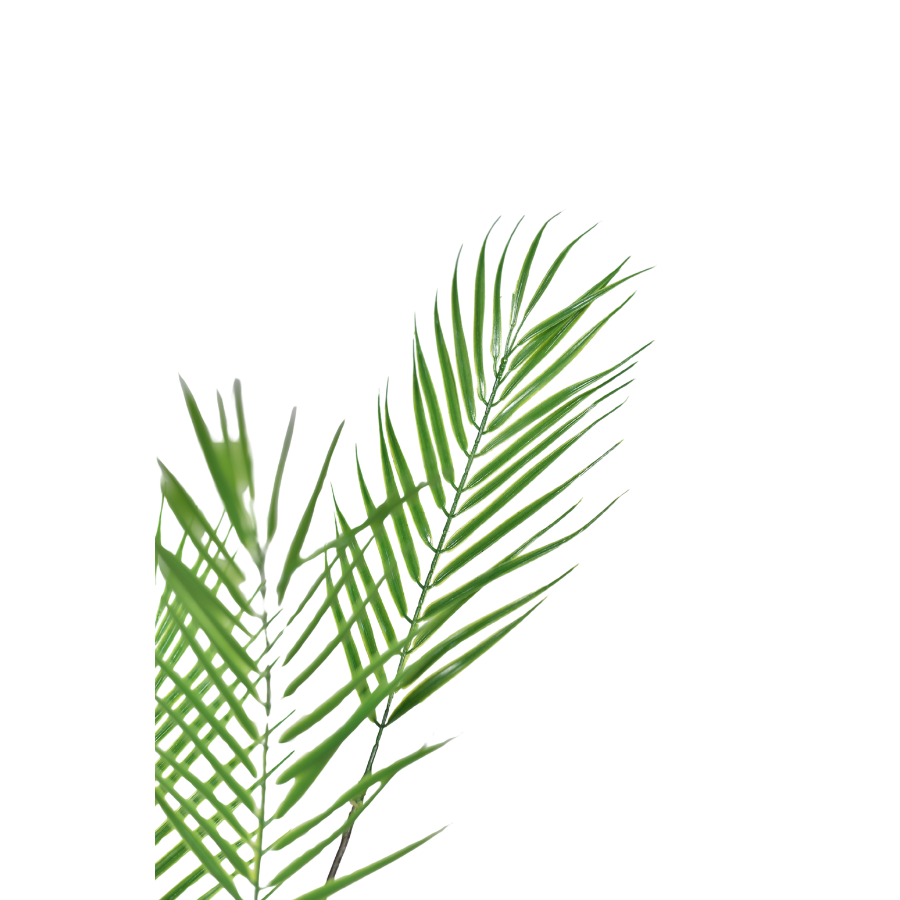EplrdmP5GaIBudfiLMxOGQ9OZc7ltF4qcSKxs55q.png