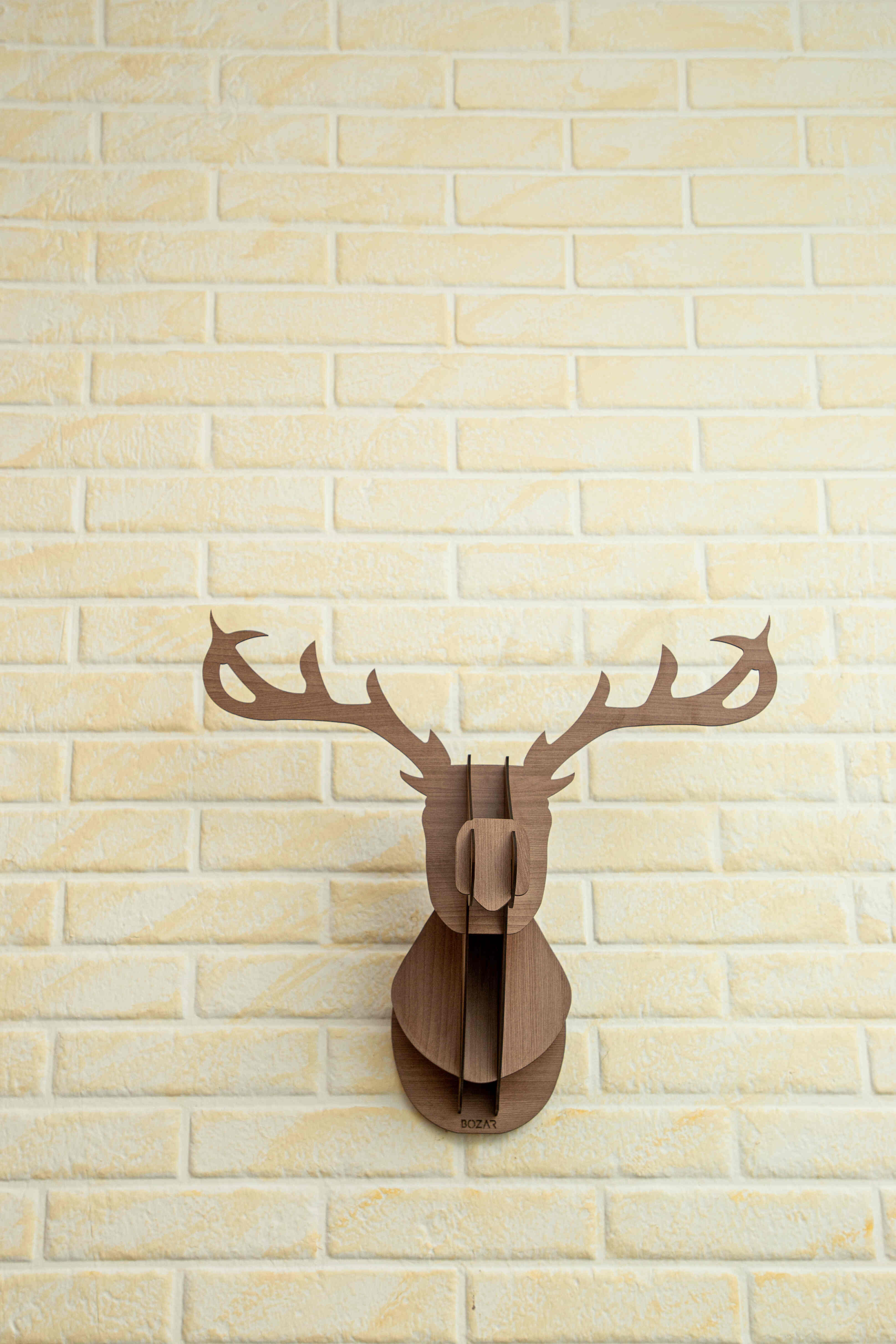 Hope The Reindeer Head 3