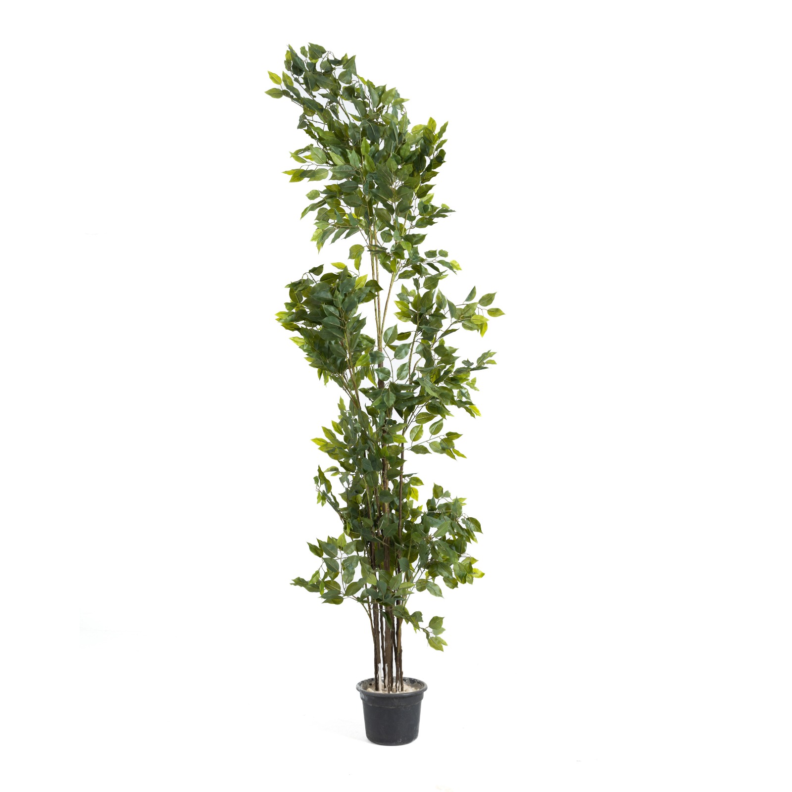 Artificial Benjamina Tree - Big Leaf 0